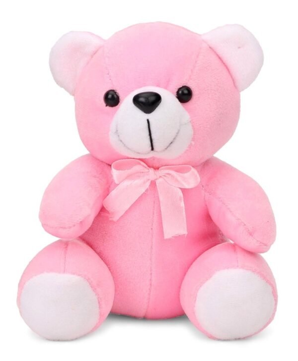Pink teddy Bear