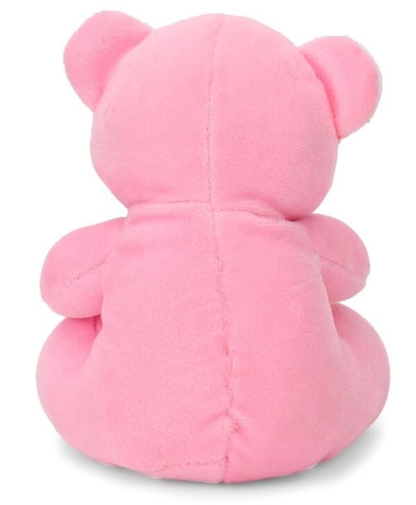Pink teddy Bear