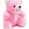 Pink teddy Bear