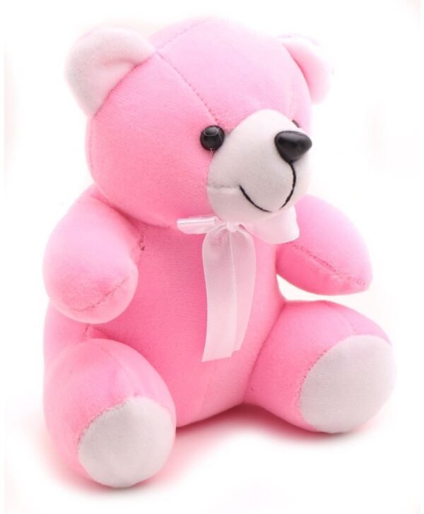 Pink teddy Bear