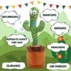Dancing Cactus Toy