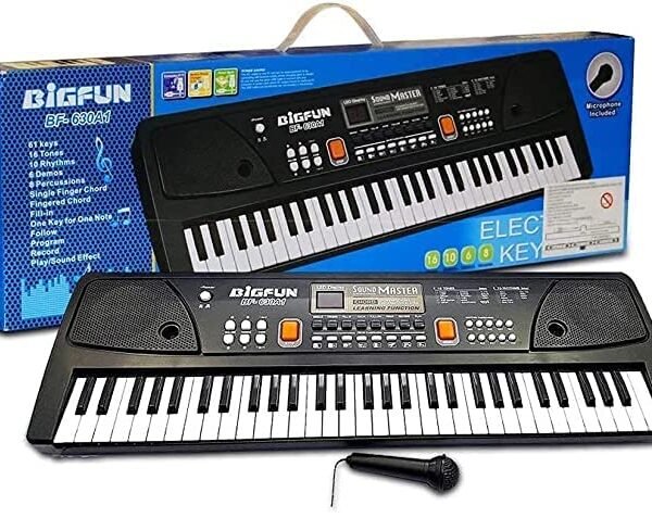 61 Keys Electronic Piano for Kids