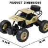 Rock Crawler RC Monster Car